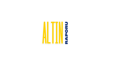 ALTIN RAPORU